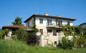 Winnica Avra